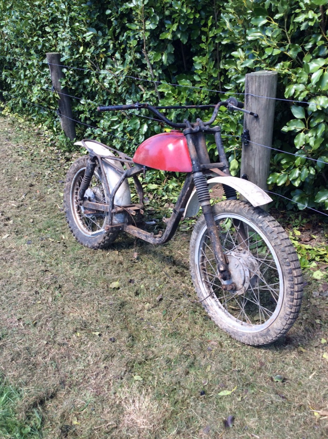 Because shop trials bikes